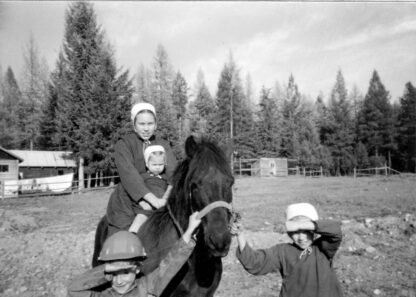 My Amish Story: Breaking Generations of Silence - Image 12