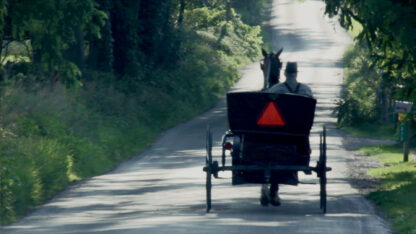 Amish and the Reformation - Image 5