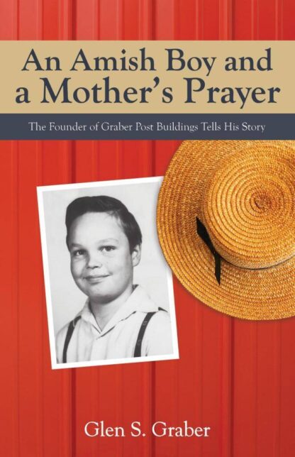 An Amish Boy and A Mother's Prayer - Image 3